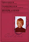 Legoland Drivers license. Click for larger image.