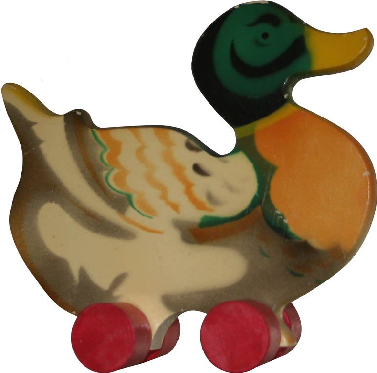Mallard Duck